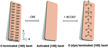 Graphical abstract: Fabrication of O (dye)-terminated anatase TiO2 nanosheets for dye sensitized solar cells