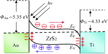 Graphical abstract: High-performance Schottky solar cells using ZrS2 nanobelt networks