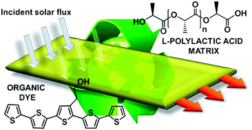Graphical abstract: Poly(lactic acid) as a transparent matrix for luminescent solar concentrators: a renewable material for a renewable energy technology