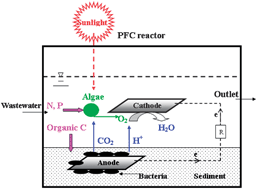 Graphical abstract: Simultaneous organic carbon, nutrients removal and energy production in a photomicrobial fuel cell (PFC)
