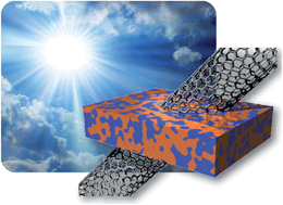Graphical abstract: Carbon nanotubes and organic solar cells