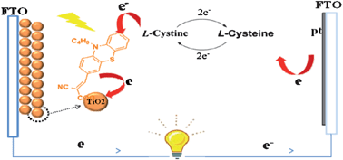 Graphical abstract: Efficient dye-sensitized solar cells based on an iodine-free electrolyte using l-cysteine/l-cystine as a redox couple