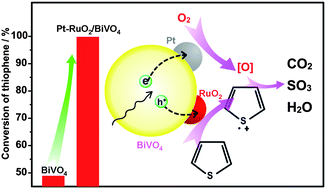 Graphical abstract: Photocatalytic oxidation of thiophene on BiVO4 with dual co-catalysts Pt and RuO2 under visible light irradiation using molecular oxygen as oxidant