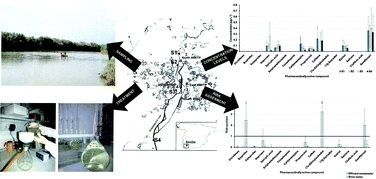 Graphical abstract: Monitoring of pharmaceutically active compounds on the Guadalquivir River basin (Spain): occurrence and risk assessment