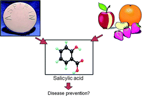 Graphical abstract: Natural salicylates: foods, functions and disease prevention