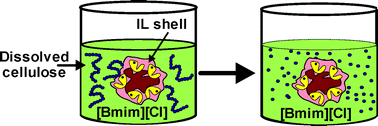 Graphical abstract: Stabilizing immobilized cellulase by ionic liquids for saccharification of cellulose solutions in 1-butyl-3-methylimidazolium chloride