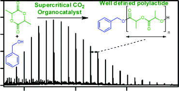 Graphical abstract: Controlled polymerisation of lactide using an organo-catalyst in supercritical carbon dioxide