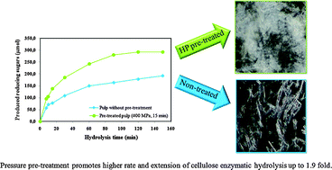 Graphical abstract: High pressure pre-treatments promote higher rate and degree of enzymatic hydrolysis of cellulose
