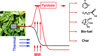Graphical abstract: Microwave-mediated pyrolysis of macro-algae
