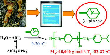 Graphical abstract: Room temperature cationic polymerization of β-pinene using modified AlCl3 catalyst: toward sustainable plastics from renewable biomass resources