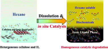 Graphical abstract: One step catalytic conversion of cellulose to sustainable chemicals utilizing cooperative ionic liquid pairs