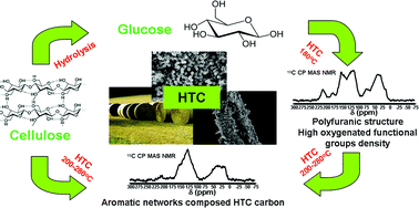Graphical abstract: Morphological and structural differences between glucose, cellulose and lignocellulosic biomass derived hydrothermal carbons