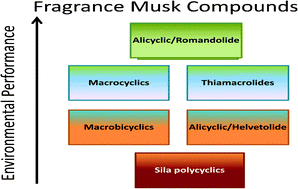 Graphical abstract: Incorporating environmental attributes into musk design