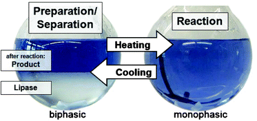 Graphical abstract: A liquid immobilisation concept for enzymes by thermomorphic solvent systems