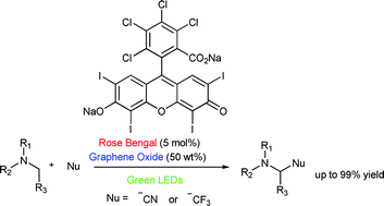 Graphical abstract: Graphene oxide and Rose Bengal: oxidative C–H functionalisation of tertiary amines using visible light