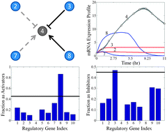 Graphical abstract: A parallel algorithm for reverse engineering of biological networks