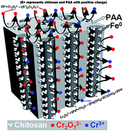 Graphical abstract: Chitosan modified Fe0 nanowires in porous anodic alumina and their application for the removal of hexavalent chromium from water