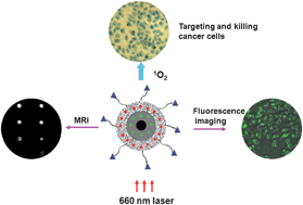 Graphical abstract: Synthesis of magnetic, fluorescent and mesoporous core-shell-structured nanoparticles for imaging, targeting and photodynamic therapy