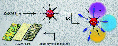 Graphical abstract: Liquid crystal based on hybrid zinc oxide nanoparticles