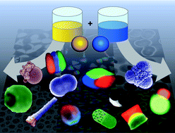 Graphical abstract: Multifunctional polymer particles with distinct compartments