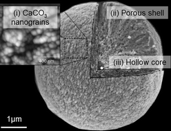 Graphical abstract: Synthesis of hollow vaterite CaCO3 microspheres in supercritical carbon dioxide medium