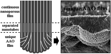 Graphical abstract: Formation and microstructures of unique nanoporous AAO films fabricated by high voltage anodization