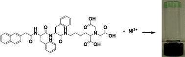 Graphical abstract: A versatile supramolecular hydrogel of nitrilotriacetic acid (NTA) for binding metal ions and magnetorheological response