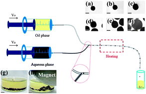 Graphical abstract: Functionalization of PNIPAAm microgels using magnetic graphene and their application in microreactors as switch materials