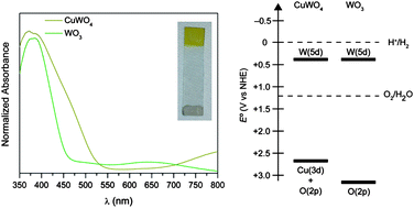 Graphical abstract: Electrochemical deposition and photoelectrochemistry of CuWO4, a promising photoanode for water oxidation