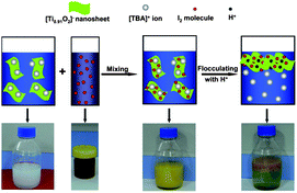 Graphical abstract: Bandgap narrowing of titanium oxide nanosheets: homogeneous doping of molecular iodine for improved photoreactivity