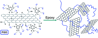 Graphical abstract: In situ preparation of functionalized graphene oxide/epoxy nanocomposites with effective reinforcements