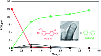 Graphical abstract: Development of reactive Pd/Fe bimetallic nanotubes for dechlorination reactions