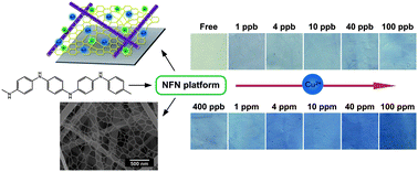 Graphical abstract: Label-free ultrasensitive colorimetric detection of copper(ii) ions utilizing polyaniline/polyamide-6 nano-fiber/net sensor strips