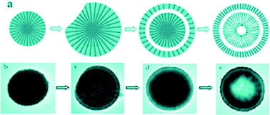 Graphical abstract: Fabrication of ZnO nanorod-assembled multishelled hollow spheres and enhanced performance in gas sensor