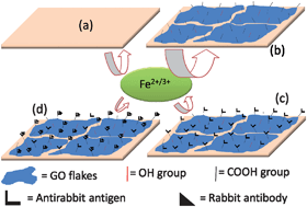 Graphical abstract: Graphene oxide for electrochemical sensing applications