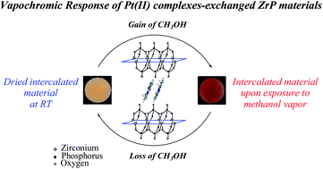 Graphical abstract: Vapochromic and vapoluminescent response of materials based on platinum(ii) complexes intercalated into layered zirconium phosphate
