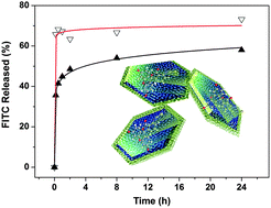 Graphical abstract: Synthesis of nanorattles with layered double hydroxide core and mesoporous silica shell as delivery vehicles