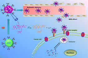 Graphical abstract: Acid degradable ZnO quantum dots as a platform for targeted delivery of an anticancer drug