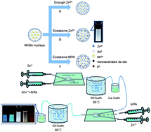 Graphical abstract: White light emission from Mn-doped ZnSe d-dots synthesized continuously in microfluidic reactors