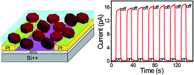 Graphical abstract: Eco-friendly visible-wavelength photodetectors based on bandgap engineerable nanomaterials