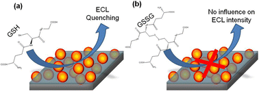 Graphical abstract: Electrochemiluminescence (ECL) sensing properties of water soluble core-shell CdSe/ZnS quantum dots/Nafion composite films
