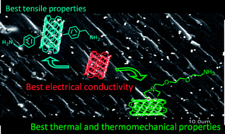 Graphical abstract: Epoxy composites with covalently anchored amino-functionalized SWNTs: towards the tailoring of physical properties through targeted functionalization
