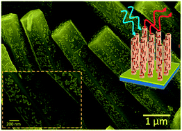 Graphical abstract: Nanorod decorated nanowires as highly efficient SERS-active hybrids