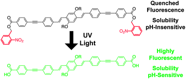 Graphical abstract: UV-induced fluorescence recovery and solubility modulation of photocaged conjugated oligomers