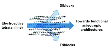 Graphical abstract: Functional block-like structures from electroactive tetra(aniline) oligomers