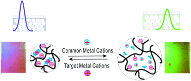 Graphical abstract: Highly sensitive colorimetric sensing for heavy metal ions by strong polyelectrolyte photonic hydrogels
