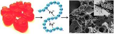 Graphical abstract: One pot route to sponge-like Fe3N nanostructures