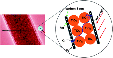 Graphical abstract: Core/shell nanofibers of TiO2@carbon embedded by Ag nanoparticles with enhanced visible photocatalytic activity