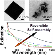 Graphical abstract: Pyrite nanocrystals: shape-controlled synthesis and tunable optical properties via reversible self-assembly