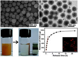 Graphical abstract: Fibrous-structured magnetic and mesoporous Fe3O4/silica microspheres: synthesis and intracellular doxorubicin delivery